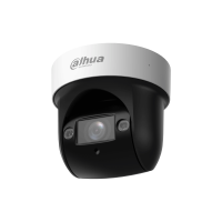 Камеры Dahua DH-SD29204DB-GNY